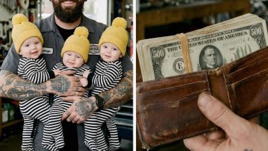 Photo of I Found a Lost Wallet at a Mechanic’s Shop and Returned It — the Next Day, a Sheriff Showed Up at My Door