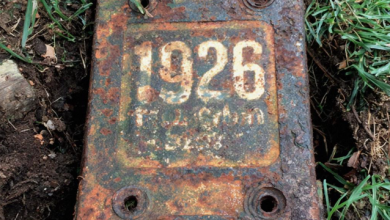 Photo of A Man Found a Locked Metal Box Buried in His Backyard – What Was Inside Had Been Hidden for 98 Years