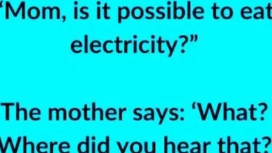 Photo of Is It Possible to Eat Electricity? Discover the Truth!