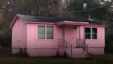 Photo of My House Was Repainted Overnight While I Was Sleeping – I Found Out Who Did It and Got My Revenge