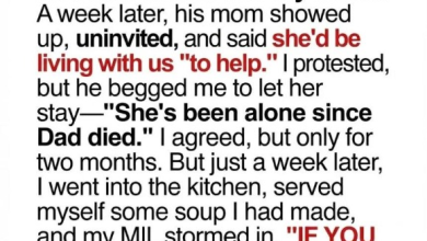 Photo of My Mother-in-Law Moved In and Said, “No Work, No Food” — What My Husband Did Next Shocked Me