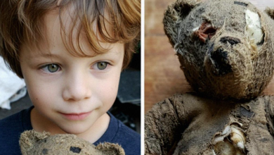 Photo of My Son Found a One-Eyed Teddy Bear in the Dirt – That Night, It Whispered His Name and Begged, ‘Help Me’