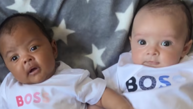 Photo of My Wife Gave Birth to Twins with Different Skin Colors – The Real Reason Left Me Speechless