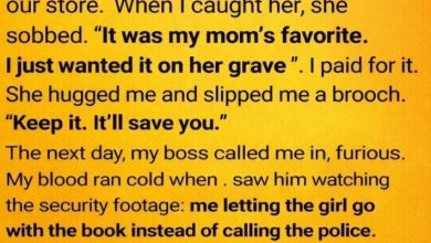 Photo of I paid the price for being kind and lost my job—but the brooch that came later changed everything.