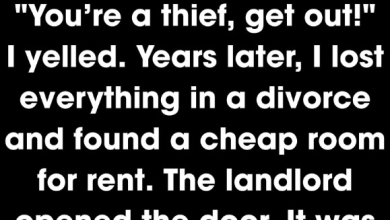 Photo of I Dismissed My Nanny Over a Small Amount—Years Later, She Held My Future in Her Hands