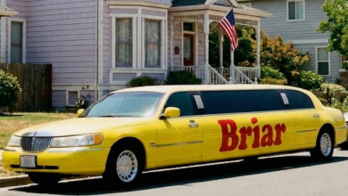 Photo of On Valentine’s Day, I Performed CPR on a Homeless Man – the Next Day, a Limo Arrived at My House with My Name on It