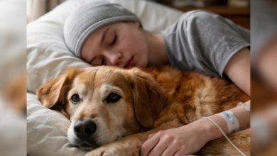 Photo of I Gave Away My Sick Stepdaughter’s Dog—Then Her Last Letter Broke Me