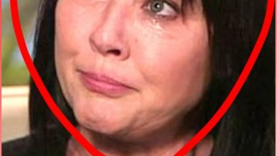 Photo of EXTREMLY SAD NEWS FOR SHANNEN
