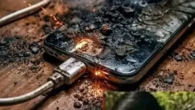 Photo of Warning never put the charger like this