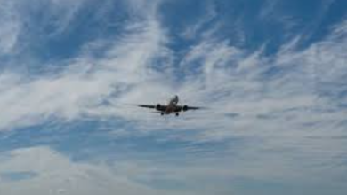 Photo of I Flew Across the Country to See My Son – He Looked at His Watch and Said, ‘You Are 15 Minutes Early, Just Wait Outside!’