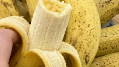 Photo of Doctors Say One Simple Habit After 50 Could Change Your Health, And Almost No One Is Doing It