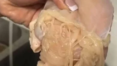 Photo of Don’t get fooled by the supermarkets. They’re selling you chicken meat from…