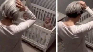 Photo of I Hired a Sweet 60-Year-Old Babysitter to Watch My Twins – Then One Night the Nanny Cam Showed Me Who She Really Was