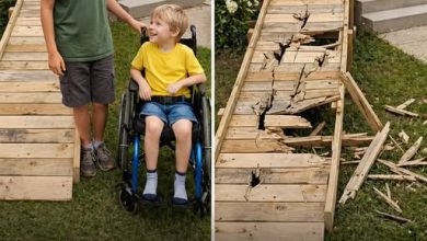 Photo of My Son Built a Ramp for the Boy Next Door – Then an Entitled Neighbor Destroyed It, but Karma Came Faster than She Expected