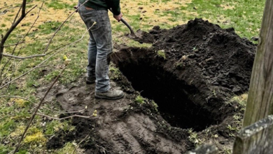 Photo of I Thought My Husband and 7-Year-Old Daughter Were Riding the Teacups at Disneyland – Instead I Saw Him Digging Something Into the Ground Behind Our Lake House