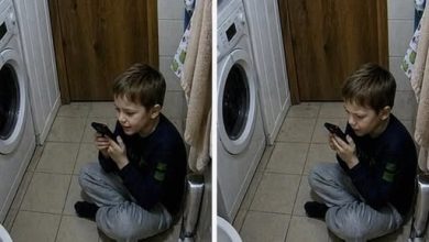 Photo of My 6-Year-Old Called Me and Said, ‘The Woman in the Living Room Says She Is My Real Mom’ – I Rushed Home, but Nothing Could Have Prepared Me for What I Walked Into