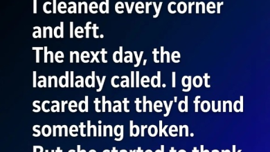 Photo of How Keeping My Apartment in Perfect Shape Ended Up Bringing Me an Unexpected Phone Call