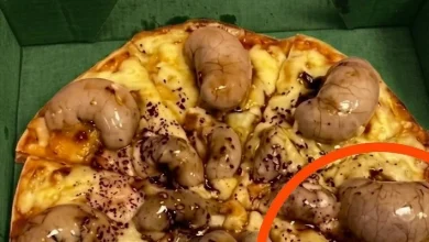 Photo of I ordered a pizza in the evening. The delivery driver brought it to me.