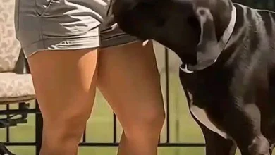 Photo of The Science Behind Dogs’ Sniffing: A Complete Guide for Pet Owners