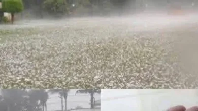 Photo of Giant hail recorded Tuesday evening in the town of… See more