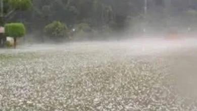 Photo of Giant hail recorded Tuesday evening in the town of… See more