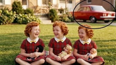 Photo of Mother Discovers Her Missing Triplets Working At A Local Farmers Market