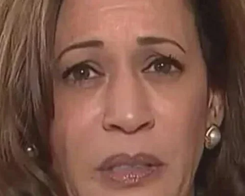 Kamala Harris Confirmed in California Just Minutes Ago—Here’s the Latest Update