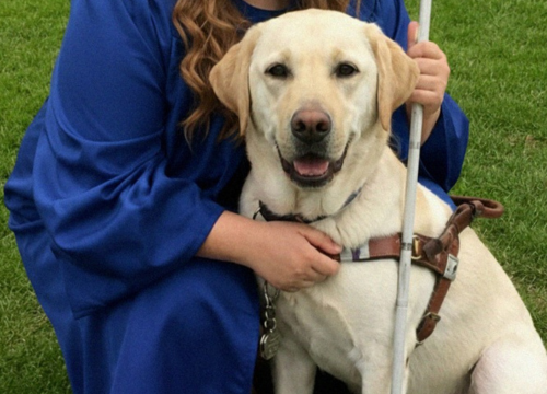 At Graduation, My Blind Daughter’s Guide Dog Started Barking at a Man – Then I Looked Up, and When I Saw Who Was Standing in Front of Me, My Knees Went Weak