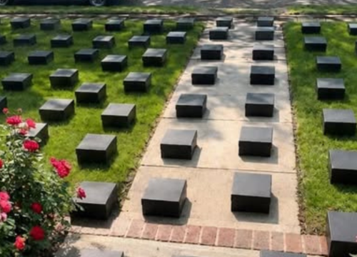 My Daughter Gave Her Brand-New Sneakers to a Little Girl Outside Walmart – The Next Morning, 68 Black Shoe Boxes Appeared on Our Front Lawn