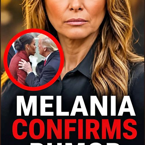 Melania Trump made the accusation ahead of her husband Trump’s ina:uguration earlier this year