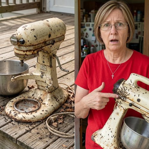 My Neighbor Was Always Borrowing My Appliances – When She Returned My Mixer Filthy and Damaged, I Decided to Teach Her a Lesson
