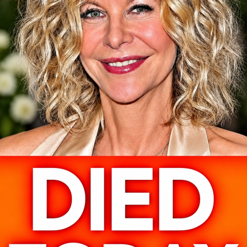 The Heartbreaking Truth About Meg Ryan and How Hollywood Changed Her Appearance Forever